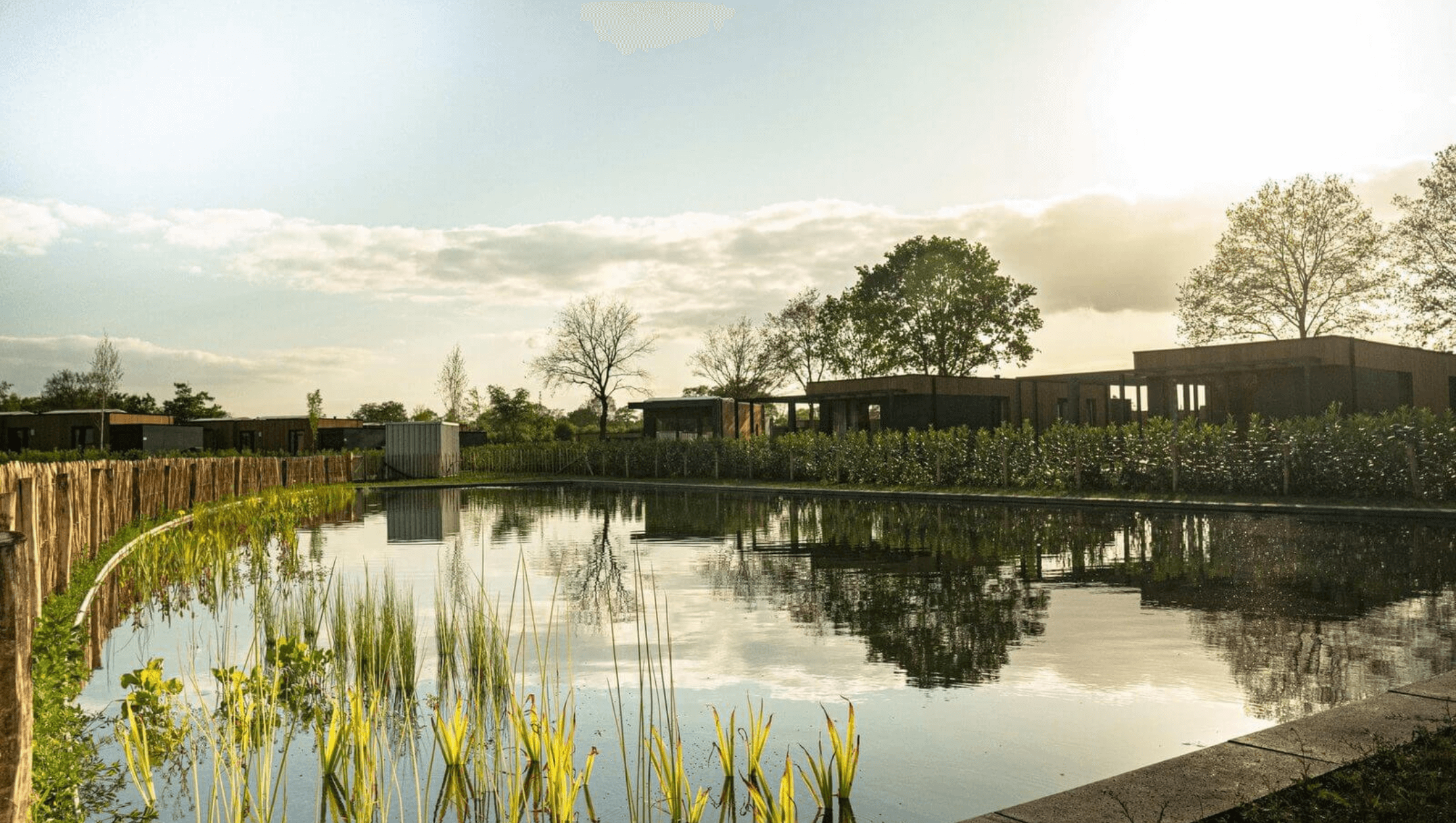 Hofparken_Natuurzwembad